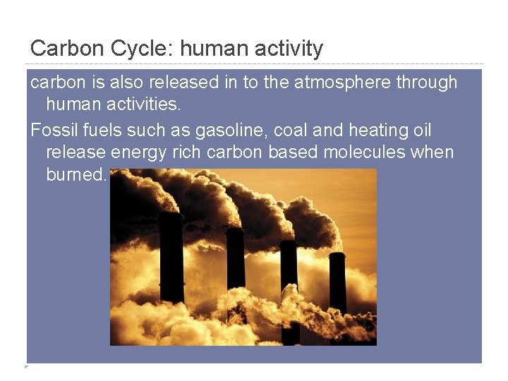 Carbon Cycle: human activity carbon is also released in to the atmosphere through human