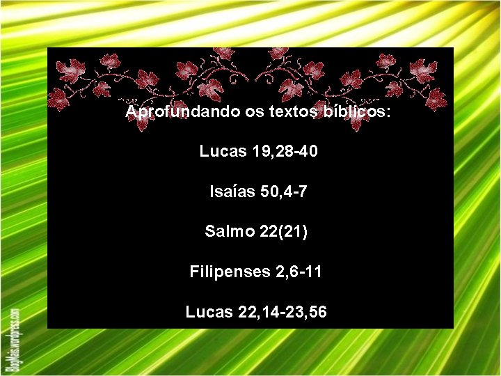 Aprofundando os textos bíblicos: Lucas 19, 28 -40 Isaías 50, 4 -7 Salmo 22(21) Aprofundando os textos bíblicos: Lucas 19, 28 -40 Isaías 50, 4 -7 Salmo 22(21)