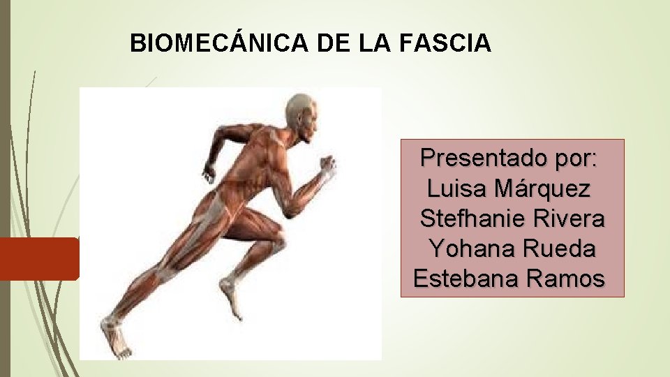 BIOMECÁNICA DE LA FASCIA Presentado por: Luisa Márquez Stefhanie Rivera Yohana Rueda Estebana Ramos