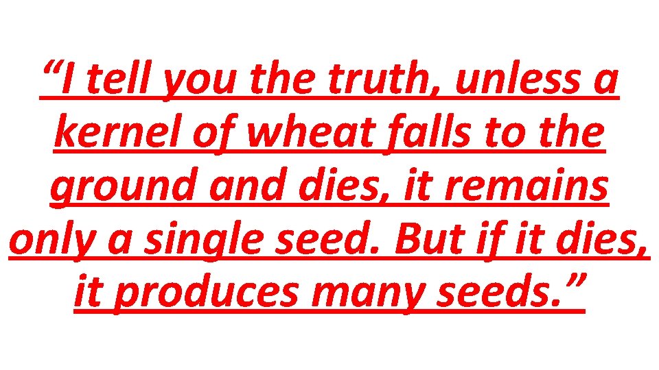 “I tell you the truth, unless a kernel of wheat falls to the ground
