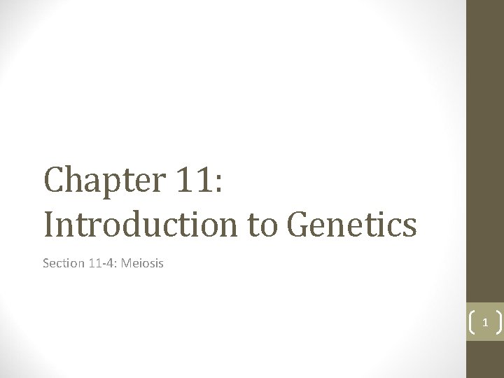 Chapter 11: Introduction to Genetics Section 11 -4: Meiosis 1 