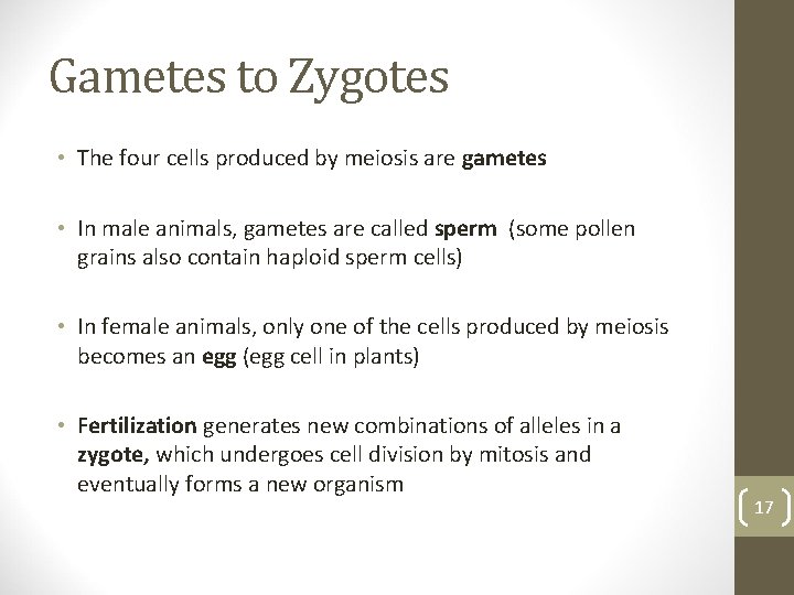 Gametes to Zygotes • The four cells produced by meiosis are gametes • In