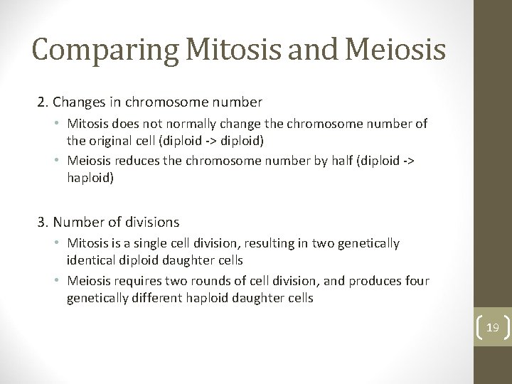 Comparing Mitosis and Meiosis 2. Changes in chromosome number • Mitosis does not normally