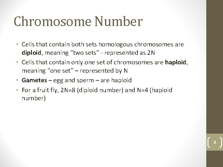 Chromosome Number • Cells that contain both sets homologous chromosomes are diploid, meaning “two