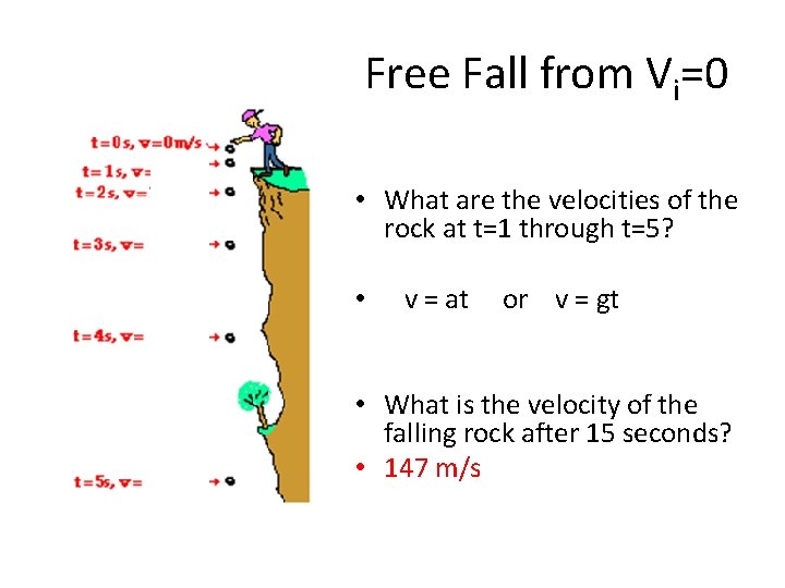 Free Fall from Vi=0 • What are the velocities of the rock at t=1
