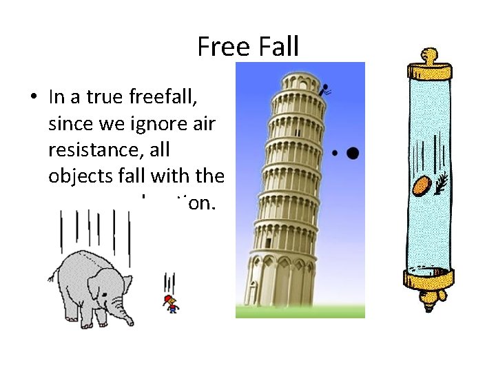 Free Fall • In a true freefall, since we ignore air resistance, all objects