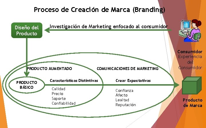 Proceso de Creación de Marca (Branding) Diseño del Producto Investigación de Marketing enfocado al