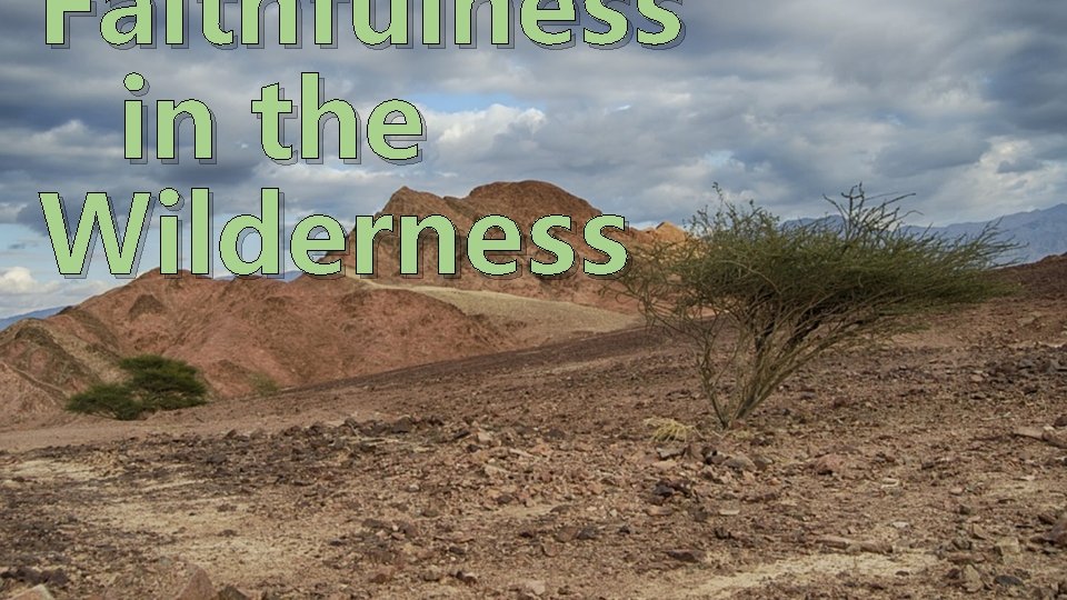 Faithfulness in the Wilderness 