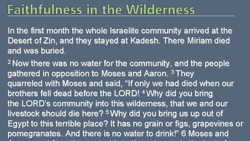 Faithfulness in the Wilderness In the first month the whole Israelite community arrived at