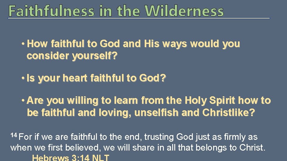 Faithfulness in the Wilderness • How faithful to God and His ways would you