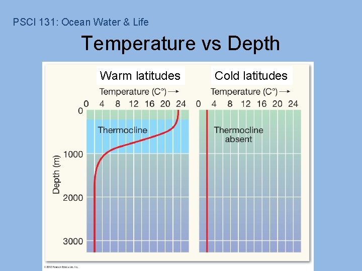 PSCI 131: Ocean Water & Life Temperature vs Depth Warm latitudes Cold latitudes 