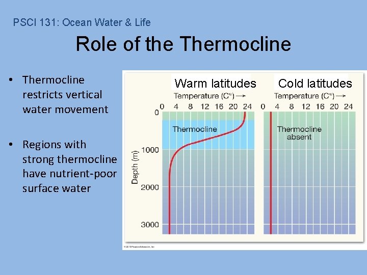 PSCI 131: Ocean Water & Life Role of the Thermocline • Thermocline restricts vertical