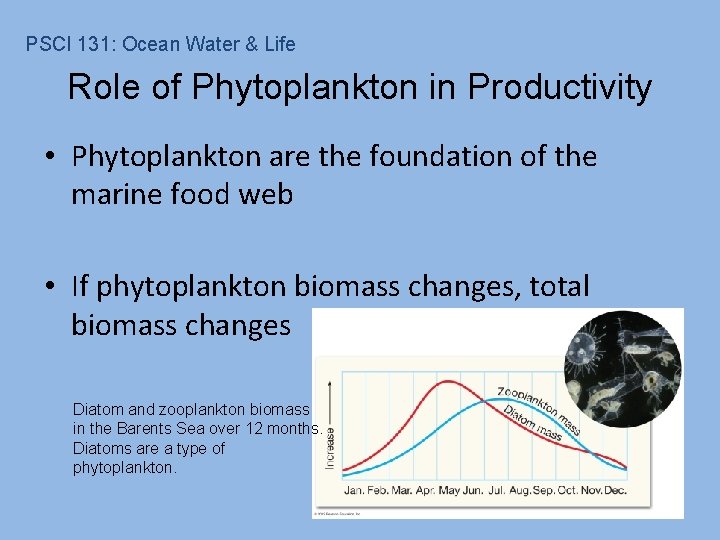 PSCI 131: Ocean Water & Life Role of Phytoplankton in Productivity • Phytoplankton are
