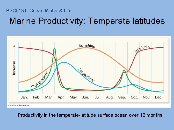 PSCI 131: Ocean Water & Life Marine Productivity: Temperate latitudes Productivity in the temperate-latitude