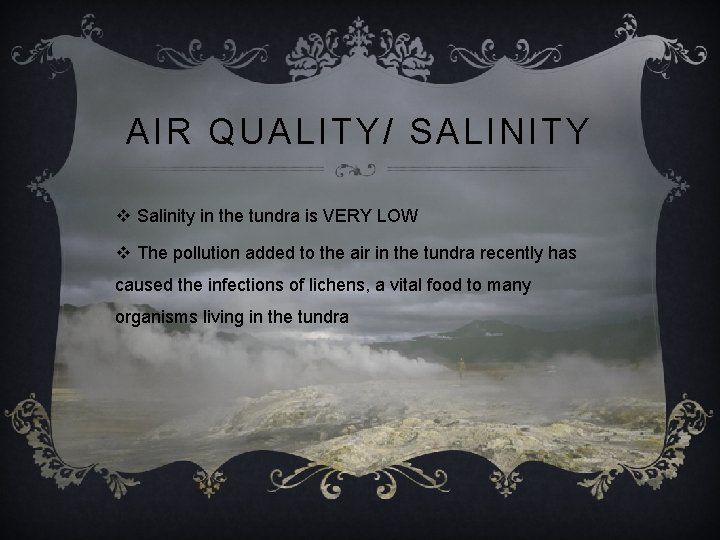 AIR QUALITY/ SALINITY v Salinity in the tundra is VERY LOW v The pollution