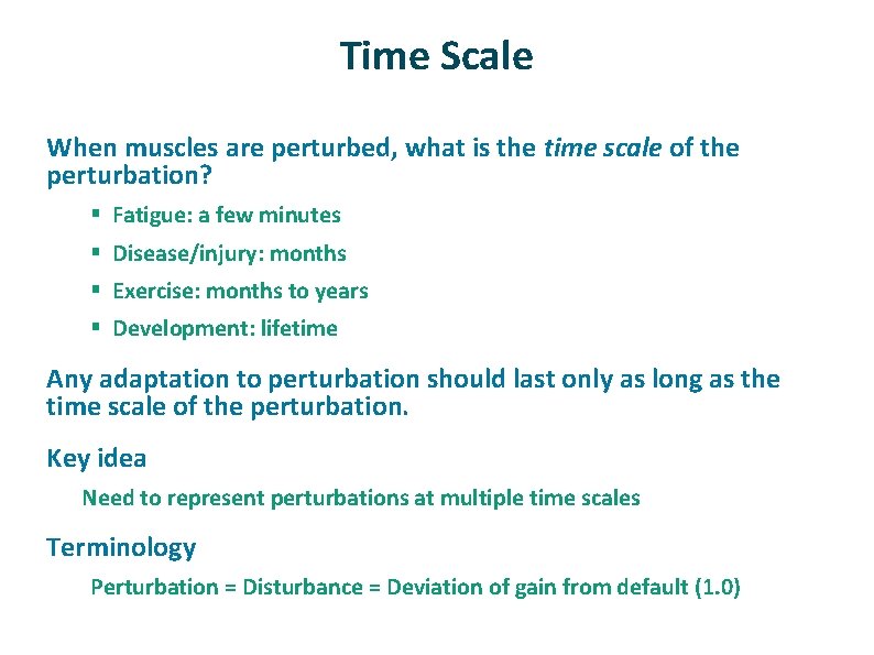 Time Scale ü When muscles are perturbed, what is the time scale of the