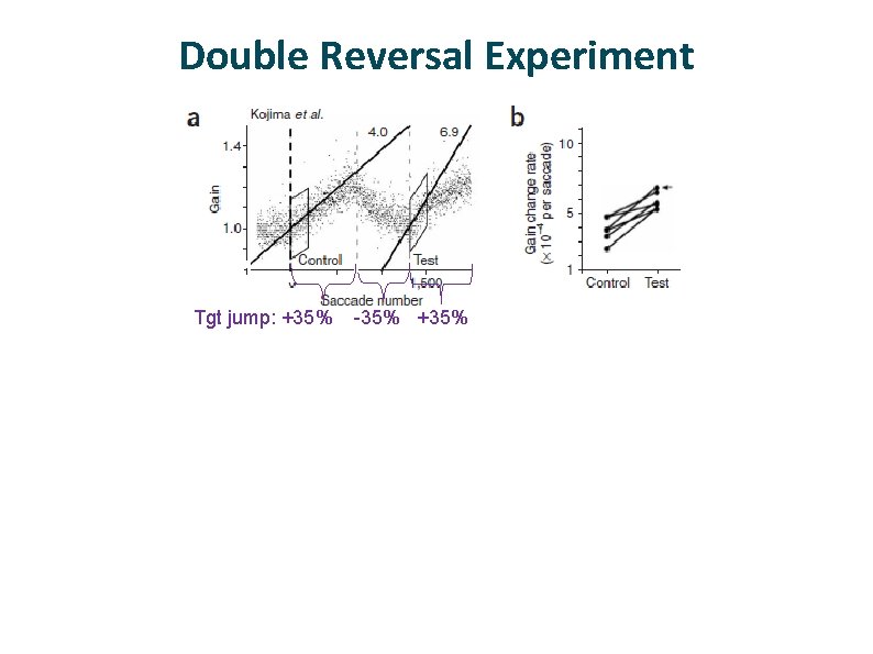 Double Reversal Experiment Tgt jump: +35% -35% +35% Slow states positive; fast states negative