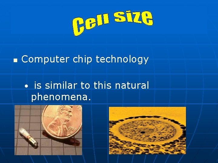 n Computer chip technology • is similar to this natural phenomena. 