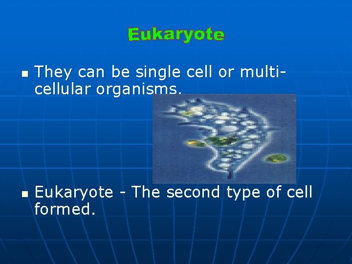 n n They can be single cell or multicellular organisms. Eukaryote - The second