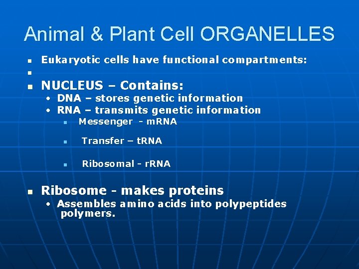 Animal & Plant Cell ORGANELLES n Eukaryotic cells have functional compartments: n n NUCLEUS