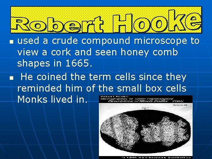 n n used a crude compound microscope to view a cork and seen honey