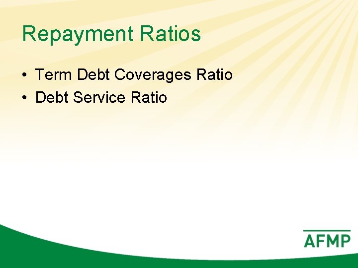 Repayment Ratios • Term Debt Coverages Ratio • Debt Service Ratio 