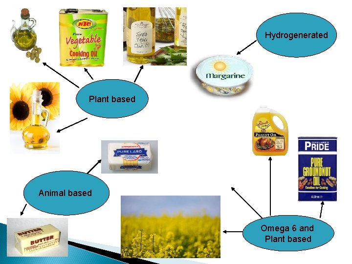 Hydrogenerated Plant based Animal based Omega 6 and Plant based Hydrogenerated Plant based Animal based Omega 6 and Plant based