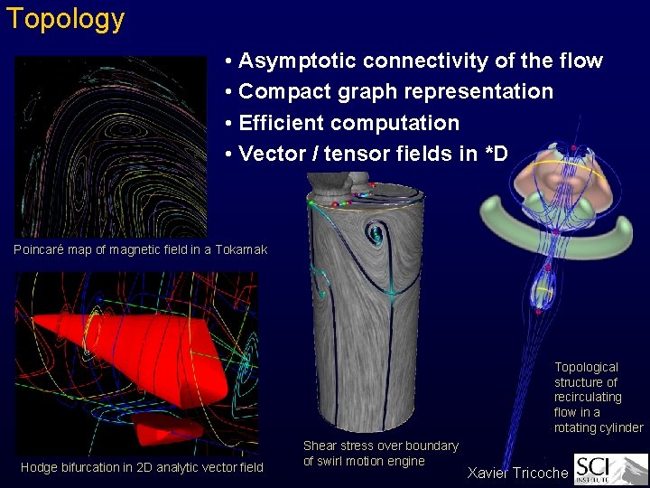 Topology • Asymptotic connectivity of the flow • Compact graph representation • Efficient computation