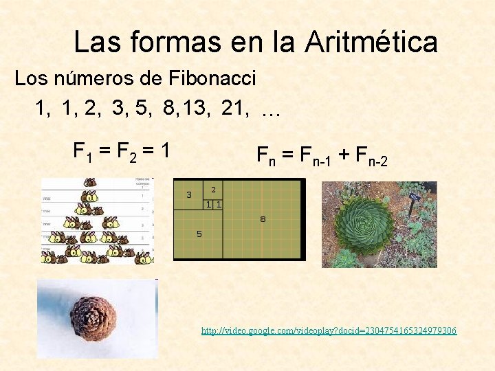 Las formas en la Aritmética Los números de Fibonacci 1, 1, 2, 3, 5,