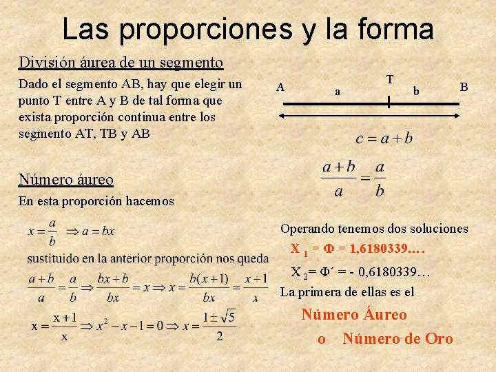 Las proporciones y la forma División áurea de un segmento Dado el segmento AB,