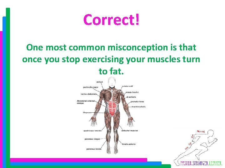 Correct! One most common misconception is that once you stop exercising your muscles turn