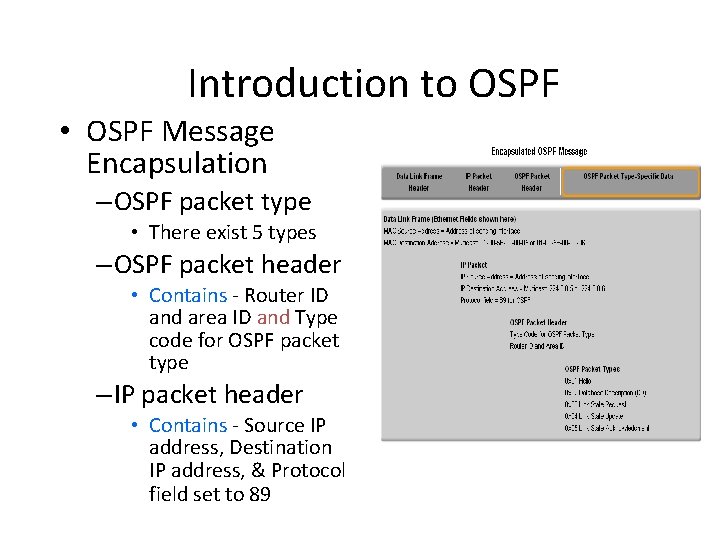 Introduction to OSPF • OSPF Message Encapsulation – OSPF packet type • There exist Introduction to OSPF • OSPF Message Encapsulation – OSPF packet type • There exist