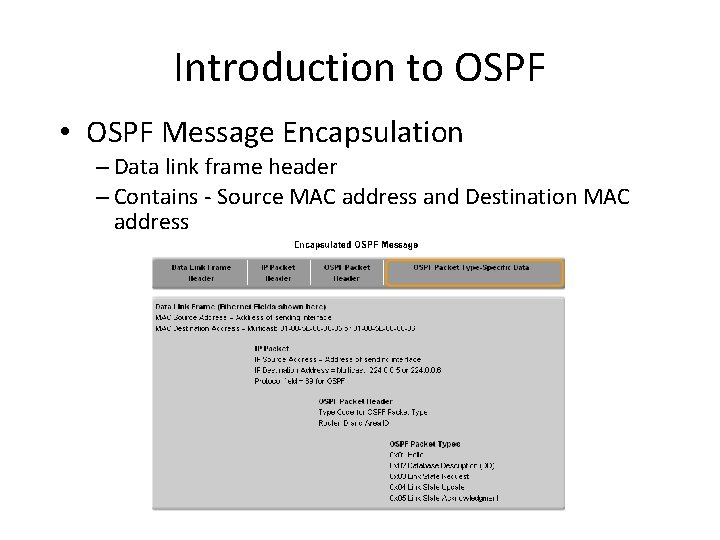 Introduction to OSPF • OSPF Message Encapsulation – Data link frame header – Contains Introduction to OSPF • OSPF Message Encapsulation – Data link frame header – Contains