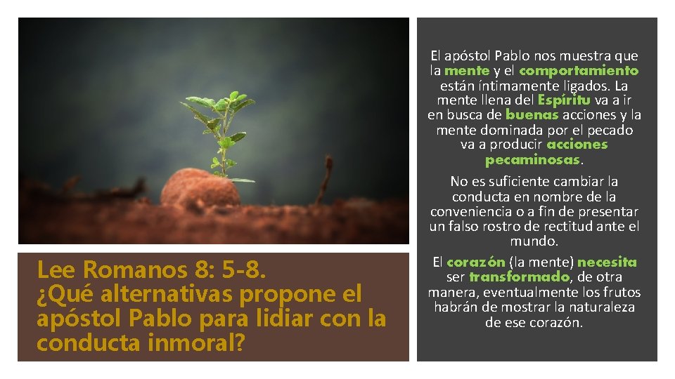 Lee Romanos 8: 5 -8. ¿Qué alternativas propone el apóstol Pablo para lidiar con