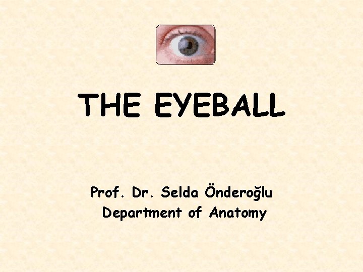 THE EYEBALL Prof. Dr. Selda Önderoğlu Department of Anatomy 