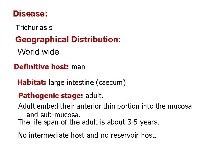 Disease: Trichuriasis Geographical Distribution: World wide Definitive host: man Habitat: large intestine (caecum) Pathogenic