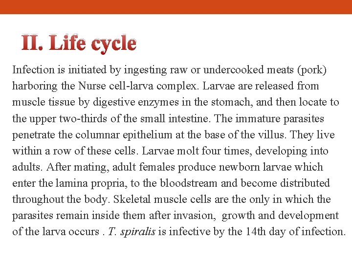 II. Life cycle Infection is initiated by ingesting raw or undercooked meats (pork) harboring