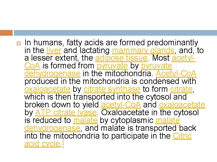 In humans, fatty acids are formed predominantly in the liver and lactating mammary