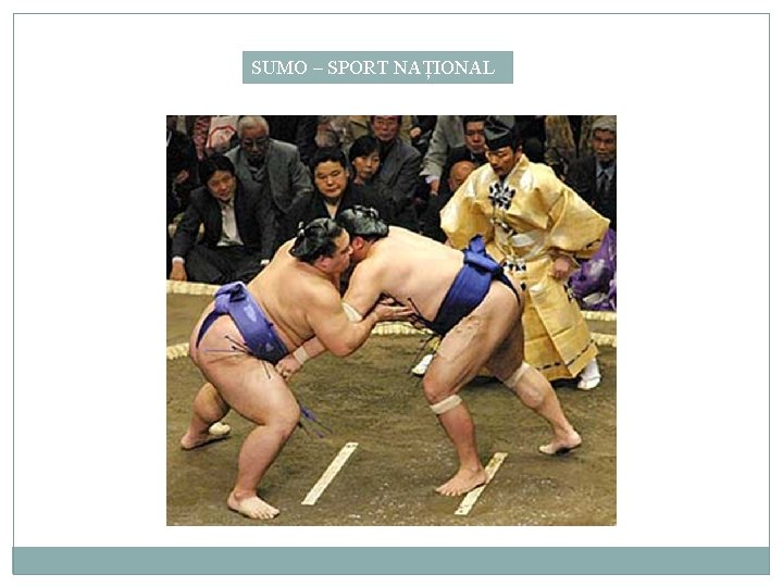 SUMO – SPORT NAȚIONAL 