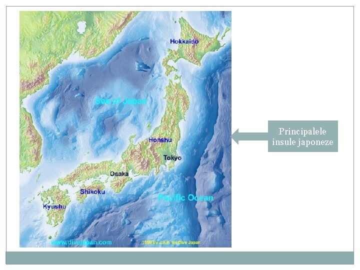 Principalele insule japoneze 