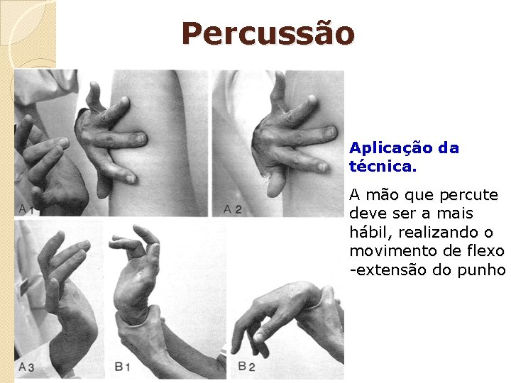 Percussão Aplicação da técnica. A mão que percute deve ser a mais hábil, realizando