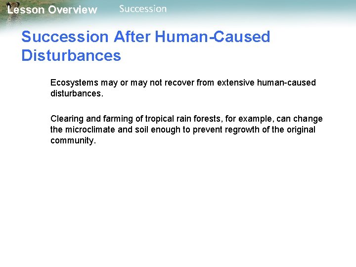 Lesson Overview Succession After Human-Caused Disturbances Ecosystems may or may not recover from extensive