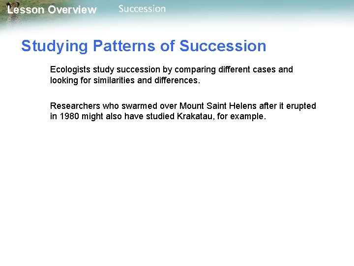 Lesson Overview Succession Studying Patterns of Succession Ecologists study succession by comparing different cases
