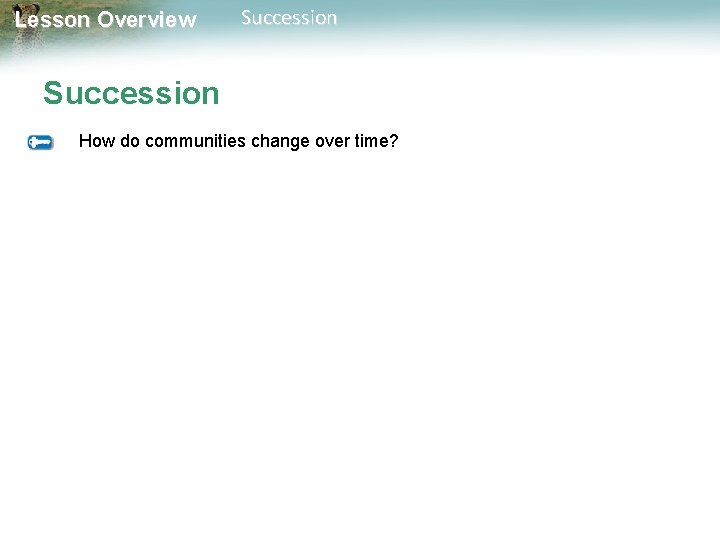 Lesson Overview Succession How do communities change over time? 