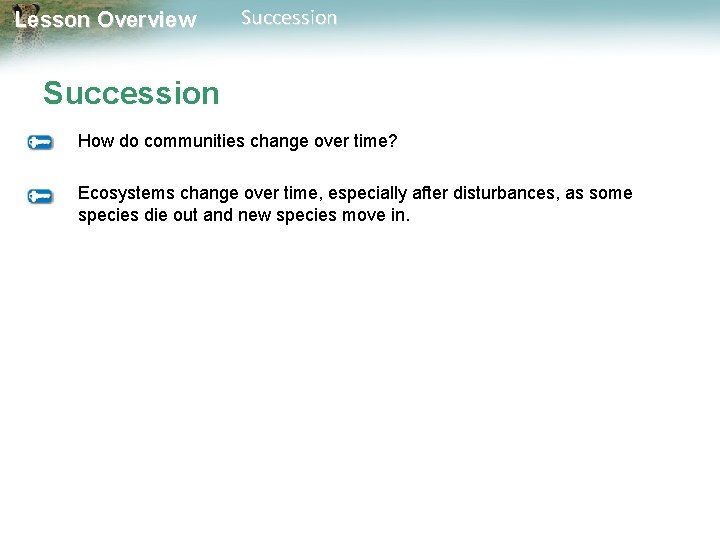 Lesson Overview Succession How do communities change over time? Ecosystems change over time, especially