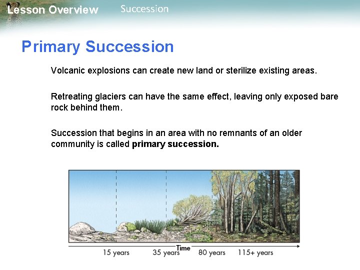 Lesson Overview Succession Primary Succession Volcanic explosions can create new land or sterilize existing