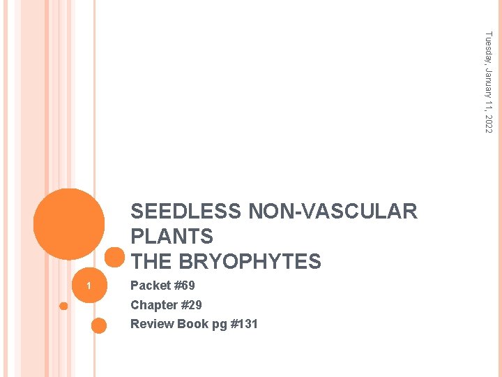 Tuesday, January 11, 2022 SEEDLESS NON-VASCULAR PLANTS THE BRYOPHYTES 1 Packet #69 Chapter #29