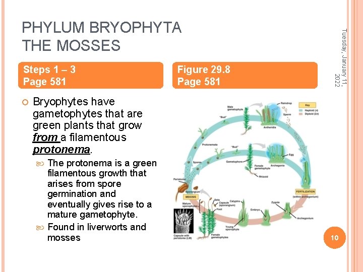 Steps 1 – 3 Page 581 Figure 29. 8 Page 581 Tuesday, January 11,