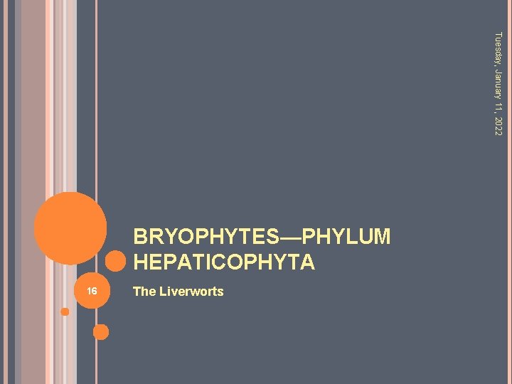 Tuesday, January 11, 2022 BRYOPHYTES—PHYLUM HEPATICOPHYTA 16 The Liverworts 