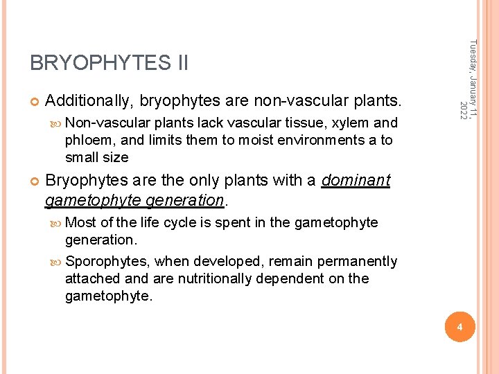  Additionally, bryophytes are non-vascular plants. Non-vascular plants lack vascular tissue, xylem and phloem,